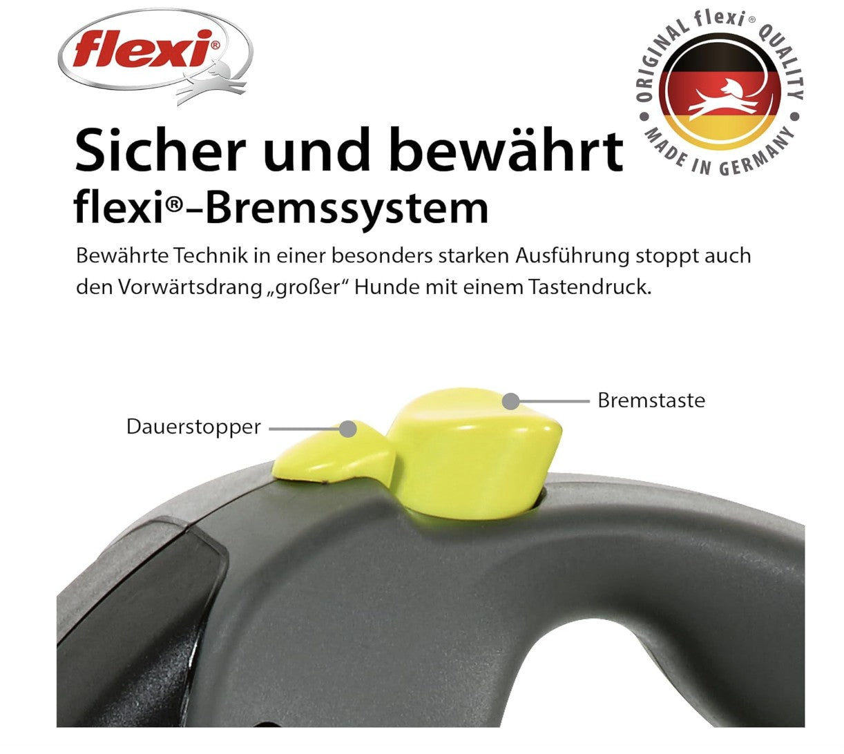 Flexi Rollleine GIANT 8M