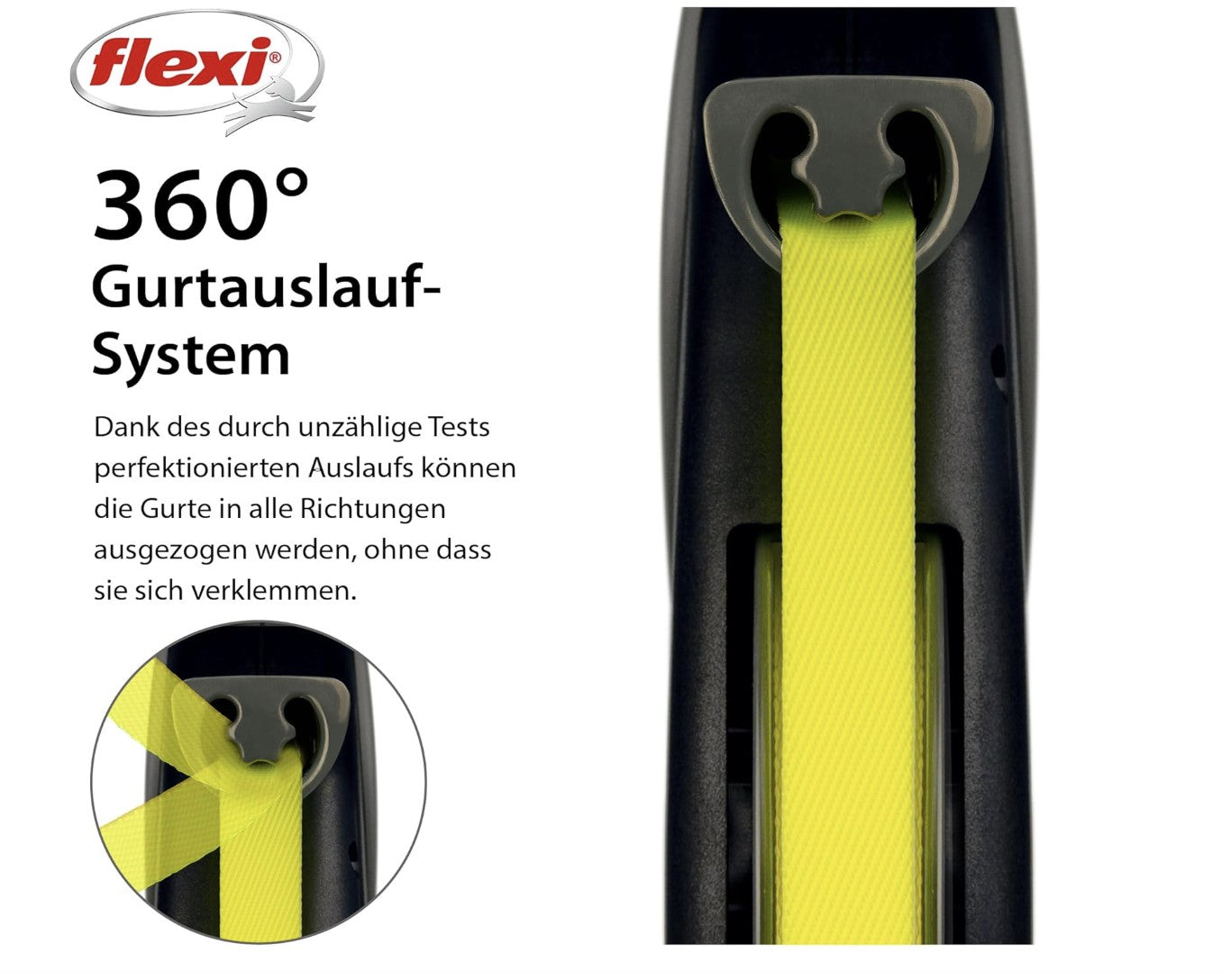 Flexi Rollleine GIANT 8M